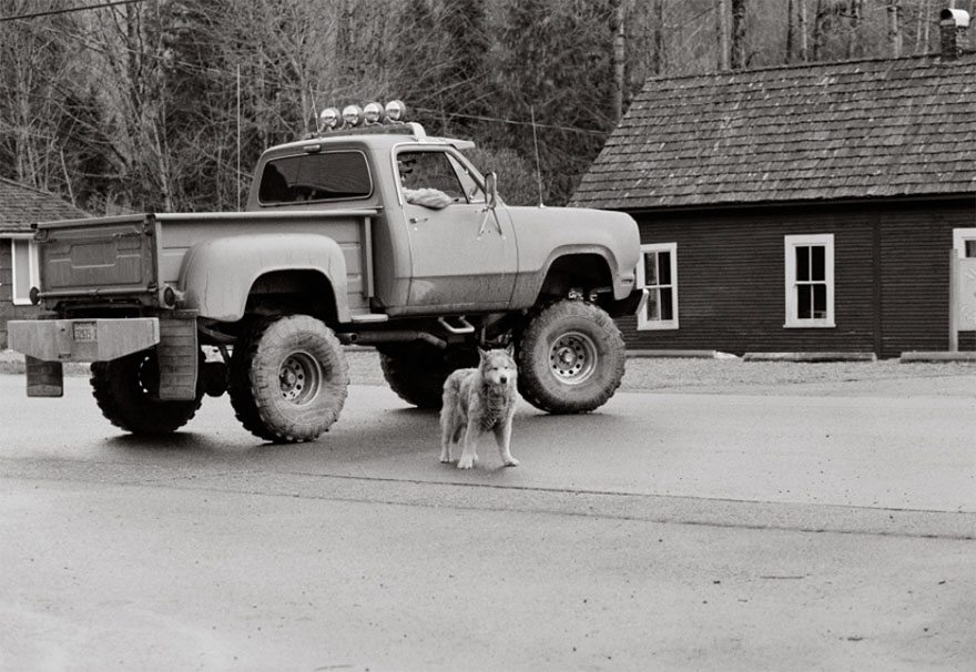 10-rare-look-at-the-lives-of-elderly-dogs