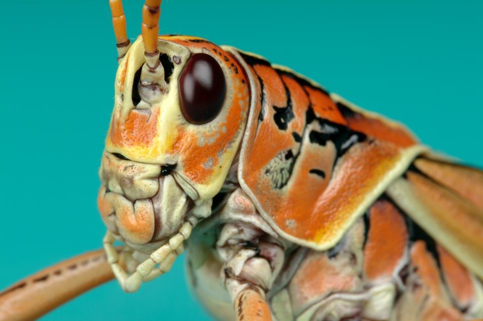 14-perfect-trips-for-people-who-love-animals