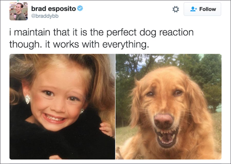 2-animal-memes-you-cant-help-but-laugh-at