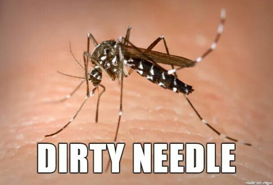 4-how-animals-should-have-actually-been-made