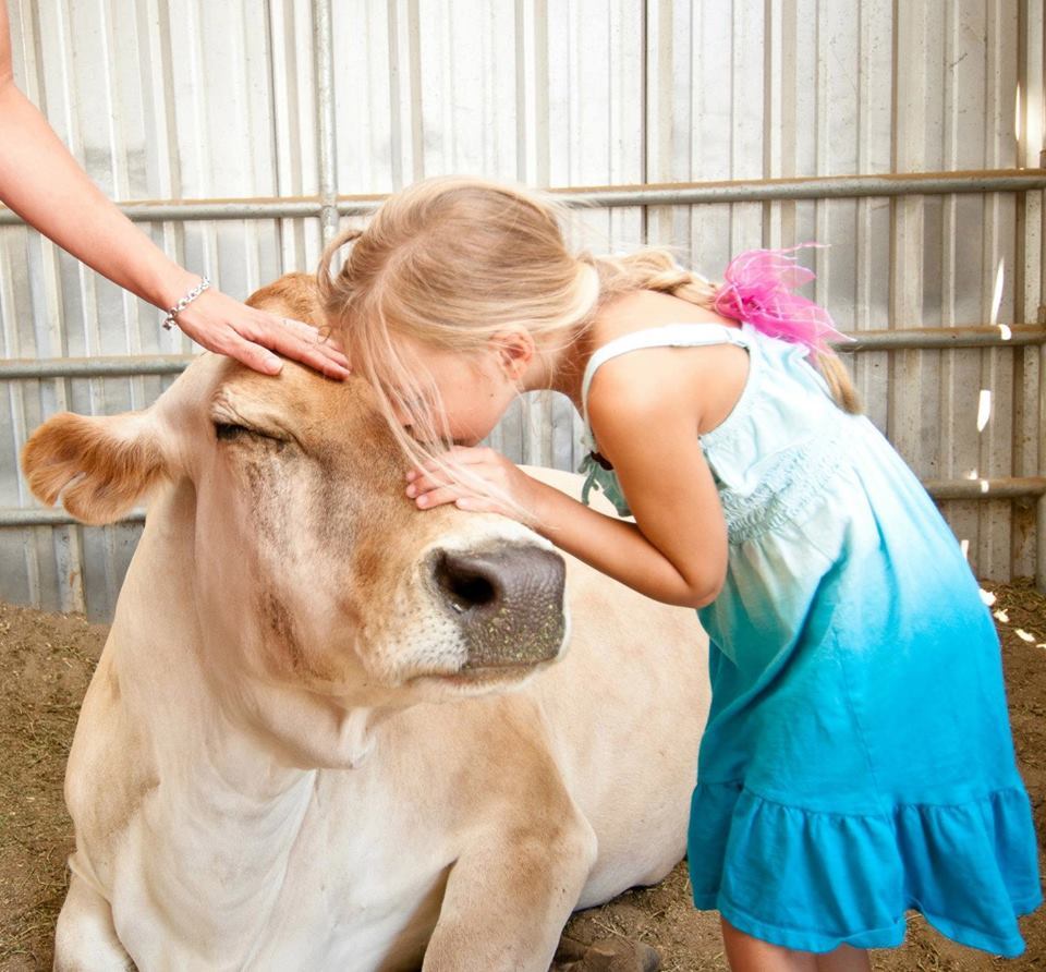 4-perfect-trips-for-people-who-love-animals