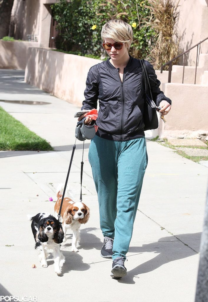 5-hollywood-dogs-incredibly-spoiled