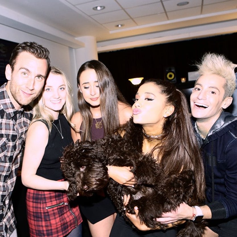 6-cutest-pets-hollywood