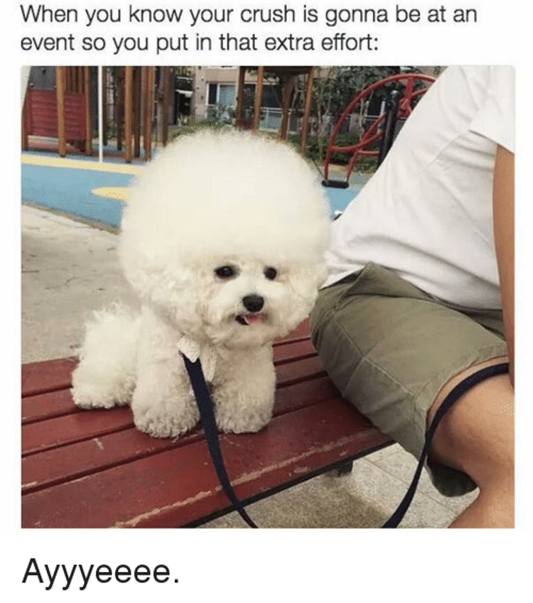 8-animal-memes-you-cant-help-but-laugh-at