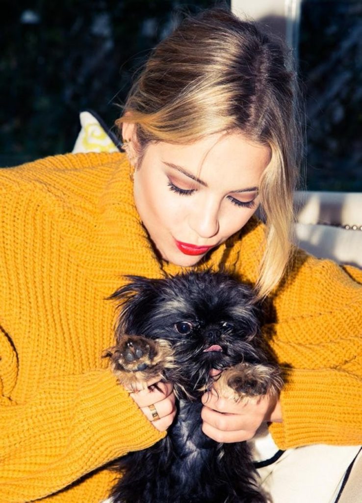 8-cutest-pets-hollywood