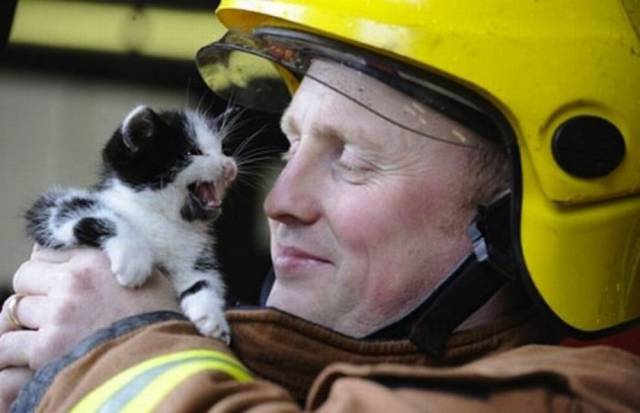 8-heartbreaking-pics-animals-saving-pets