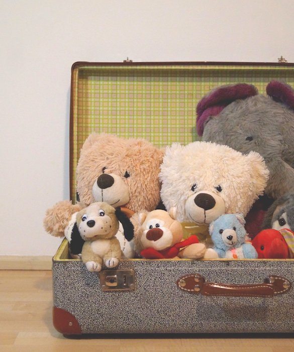 8-tips-for-traveling-with-pets