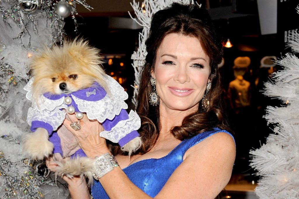 9-hollywood-dogs-incredibly-spoiled