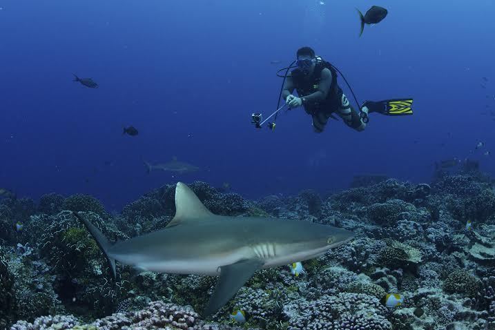 9-perfect-trips-for-people-who-love-animals