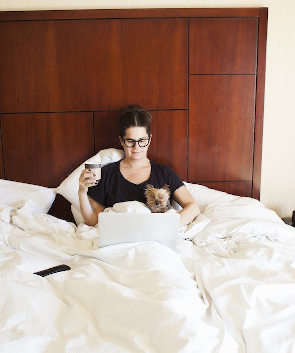 9-tips-for-traveling-with-pets