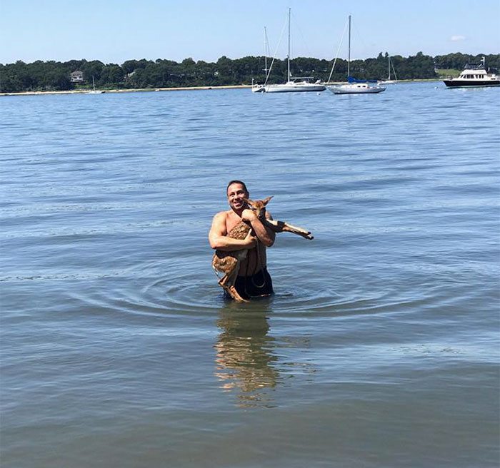 adorable-dog-saved-adeer-4