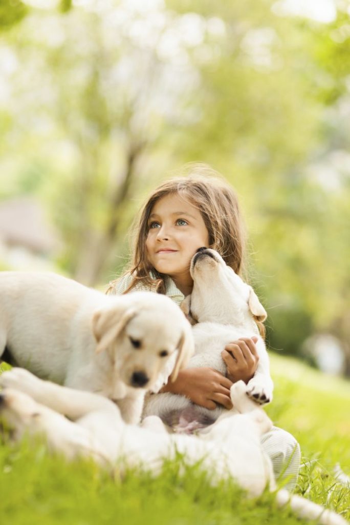 Innocent little girl playing with puppies in the garden. Vertical Shot.