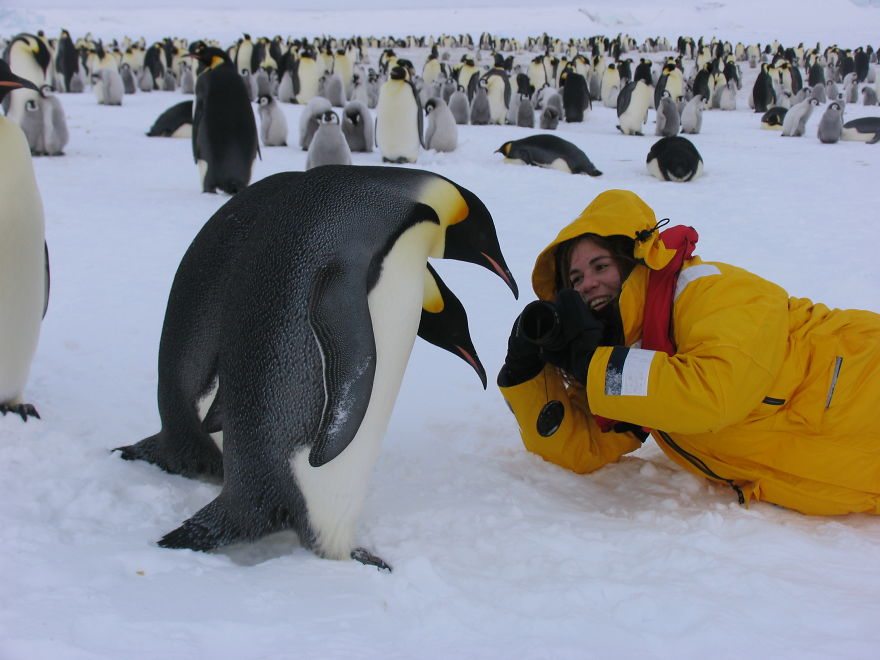 photographer-wildlife-1