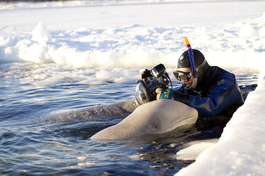 photographer-wildlife-2