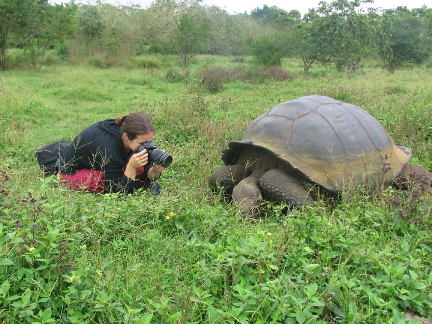 photographer-wildlife-4