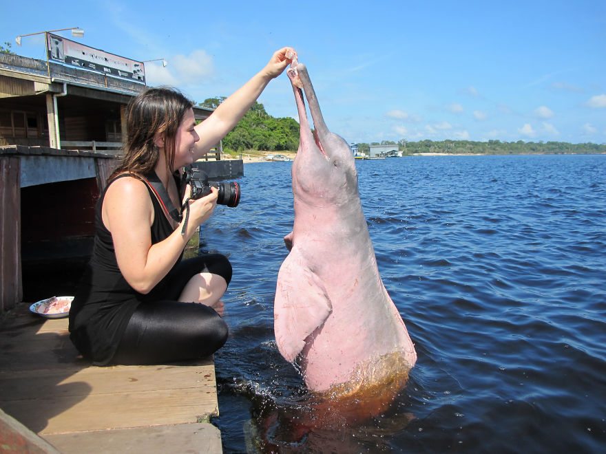 photographer-wildlife-5