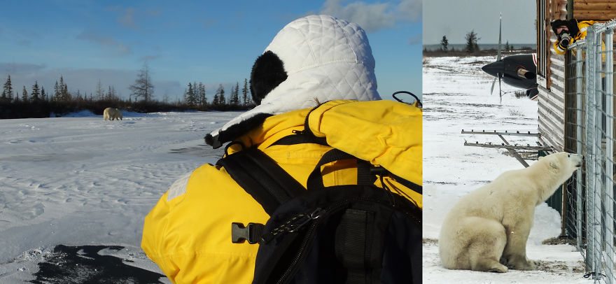 photographer-wildlife-7