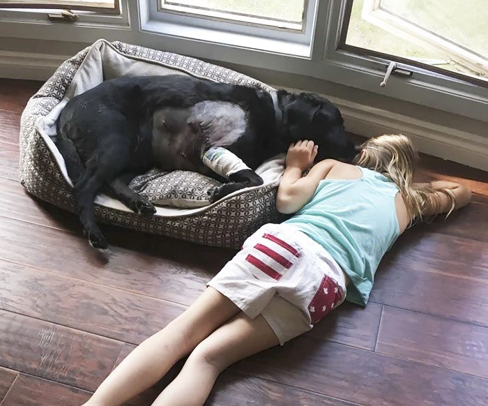 when-you-tell-someone-not-to-have-a-pup-10