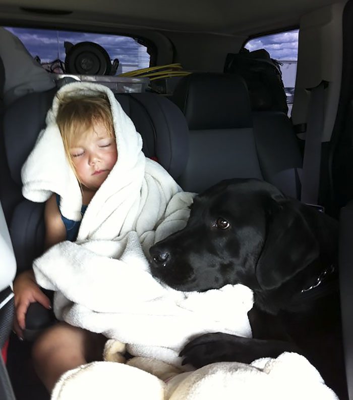 when-you-tell-someone-not-to-have-a-pup-4