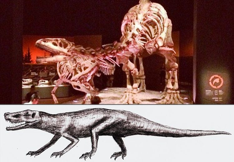 10-extinct-species-thankfully-gone-today