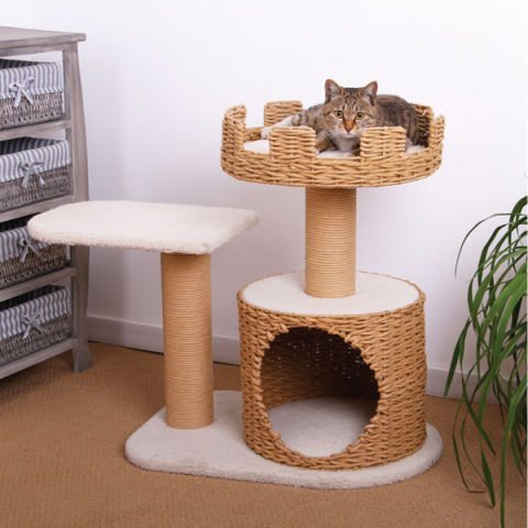 10-perfect-gifts-to-spoil-your-pets-with