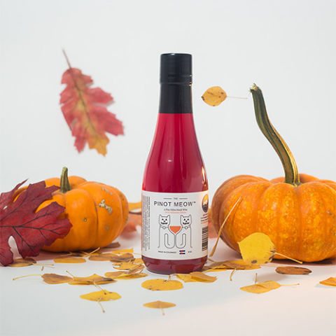 11-perfect-gifts-to-spoil-your-pets-with