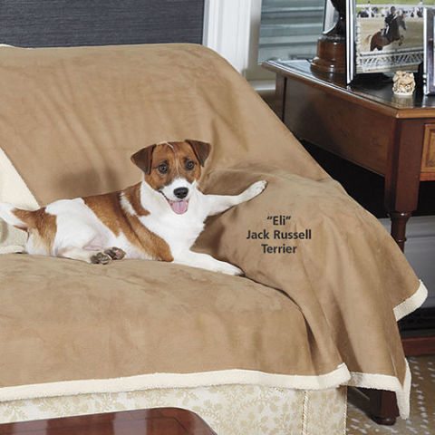 5-perfect-gifts-to-spoil-your-pets-with