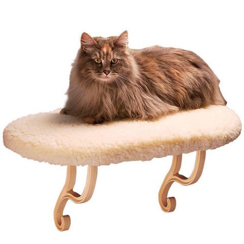 6-perfect-gifts-to-spoil-your-pets-with