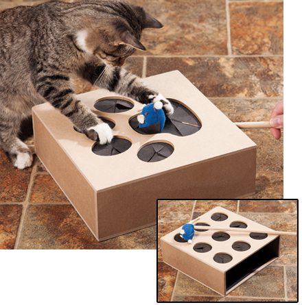 7-perfect-gifts-to-spoil-your-pets-with