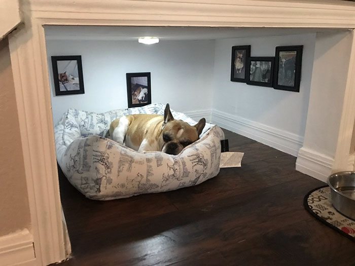 dog-bedroom-1
