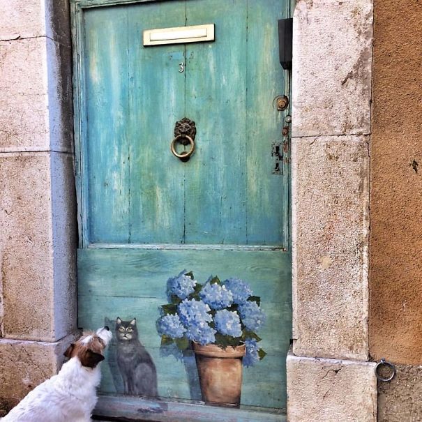 puppy-explored-20-countries-1