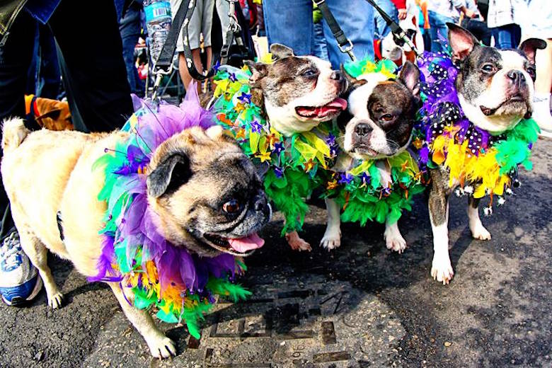 1-top-10-best-cities-america-for-your-pets