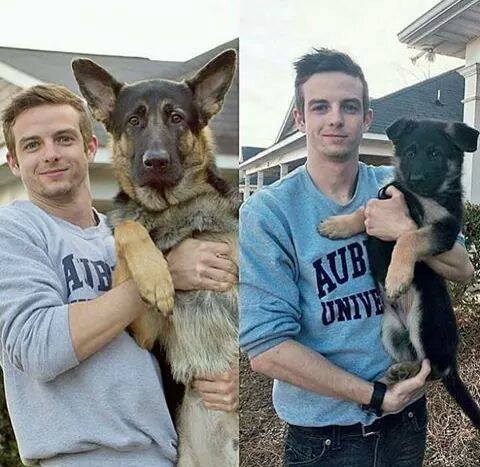 10-pics-make-you-love-dogs-even-more