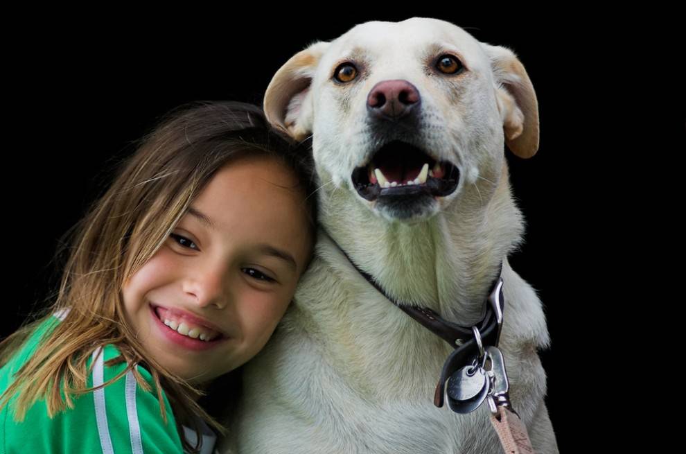 2-things-you-do-that-your-dog-hates