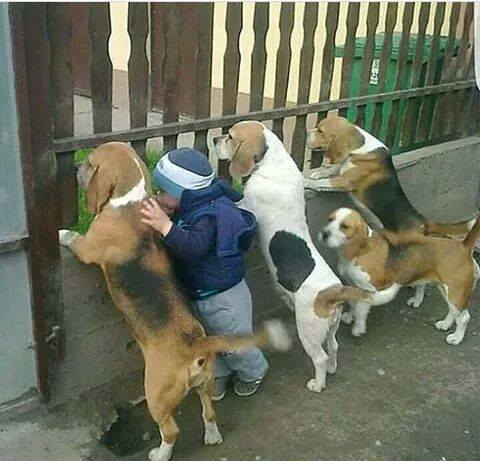 6-pics-make-you-love-dogs-even-more