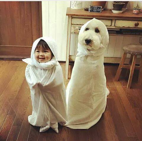 7-pics-make-you-love-dogs-even-more