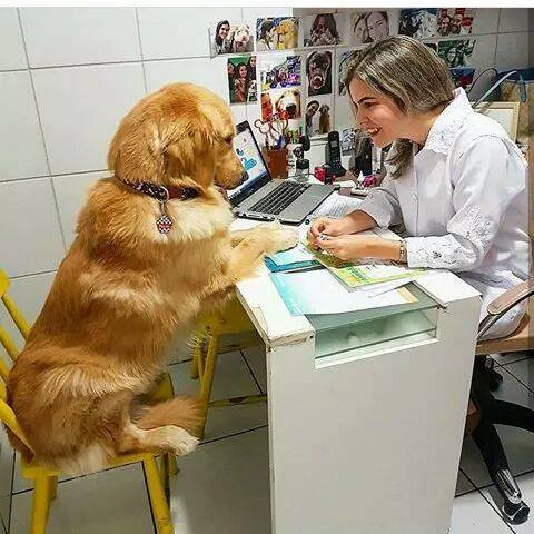 8-pics-make-you-love-dogs-even-more