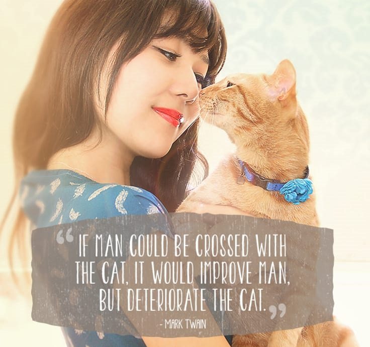 cat-quotes-6