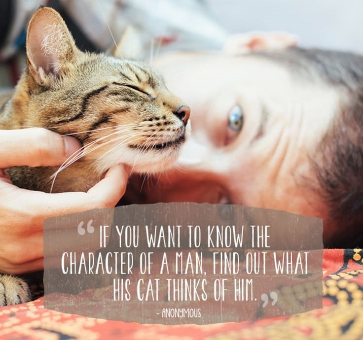 cat-quotes-7