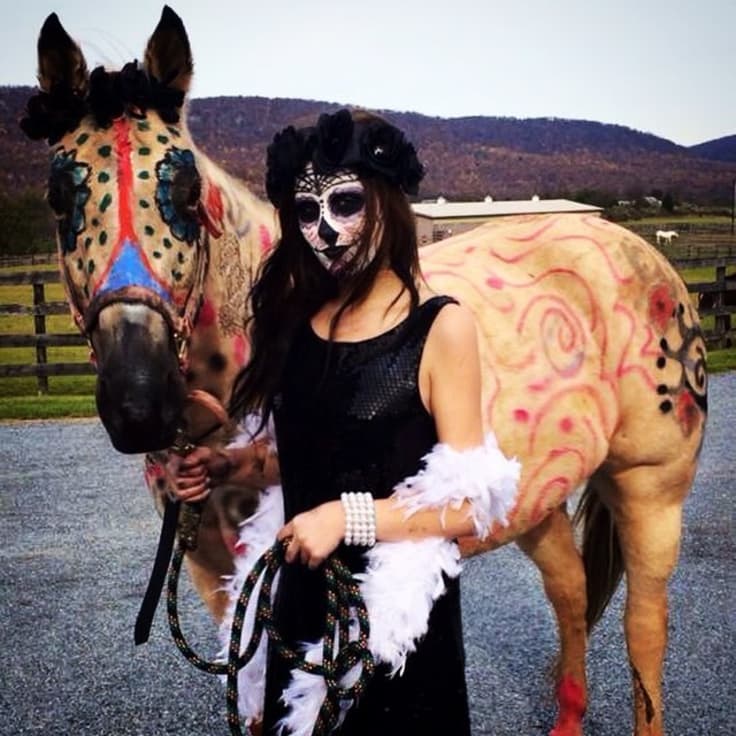 halloween-horses-6