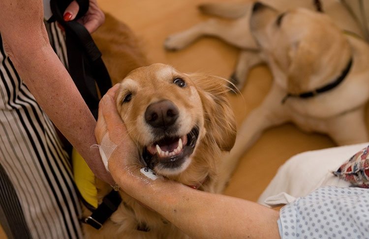 1-health-benefits-of-owning-a-pet