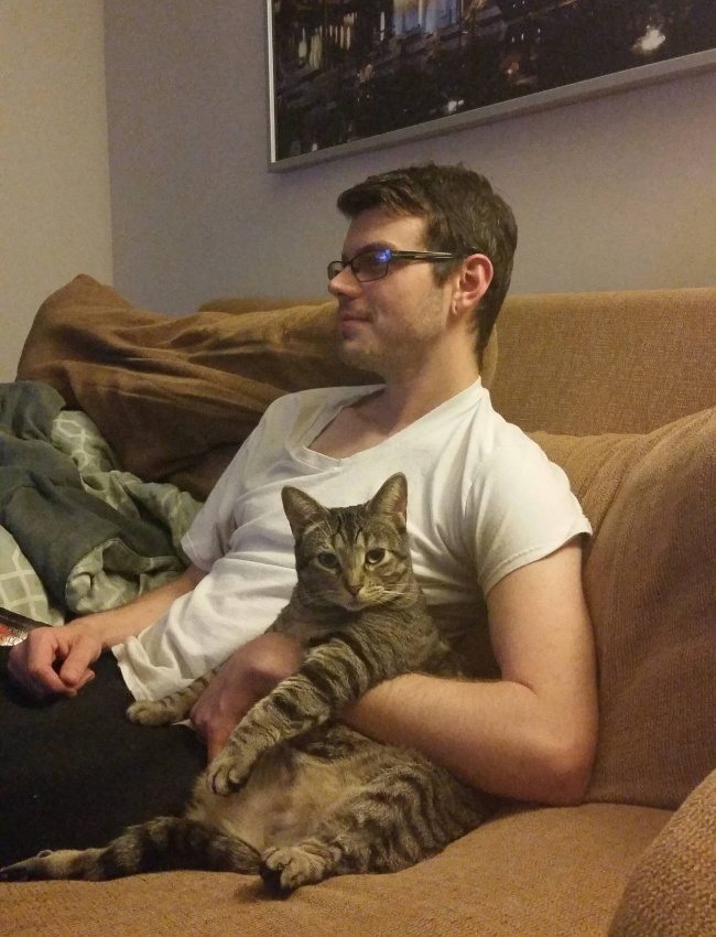 10-funny-things-happen-cat-person