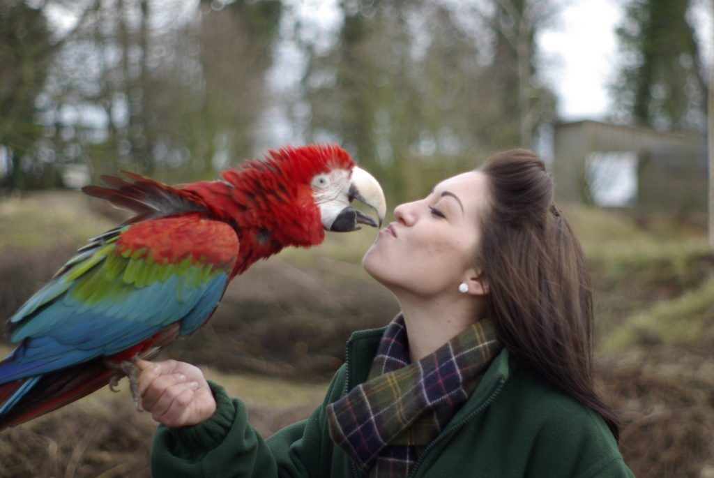 5-health-benefits-of-owning-a-pet