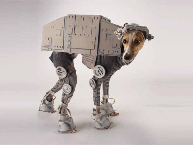 halloween-animals-10