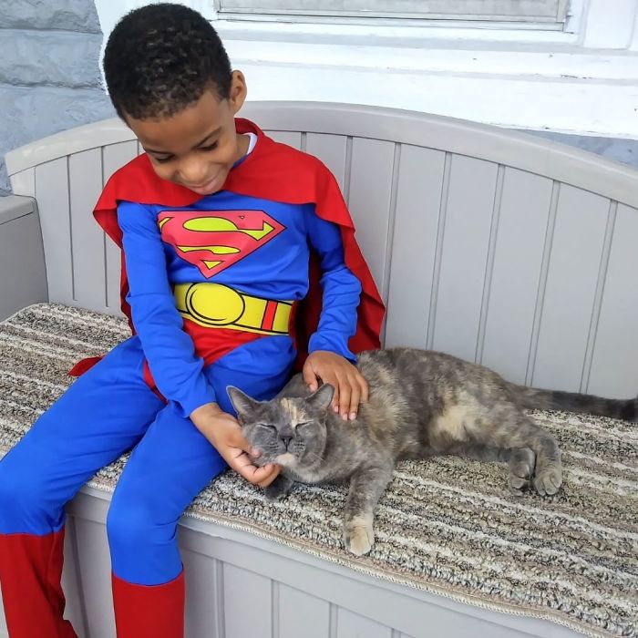 1-superhero-cats-saving