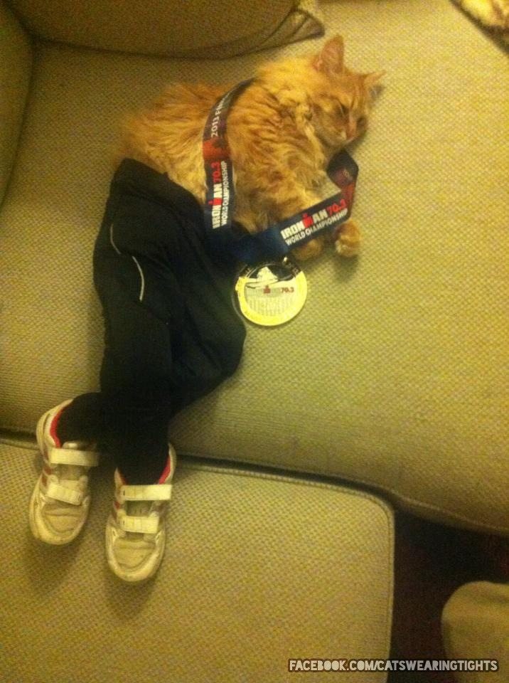 7-are-cats-in-thighs-the-latest-trend