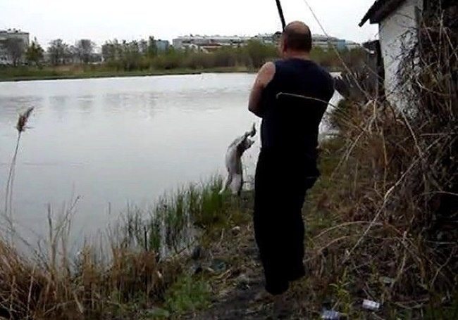 7-cat-thieves-intruders