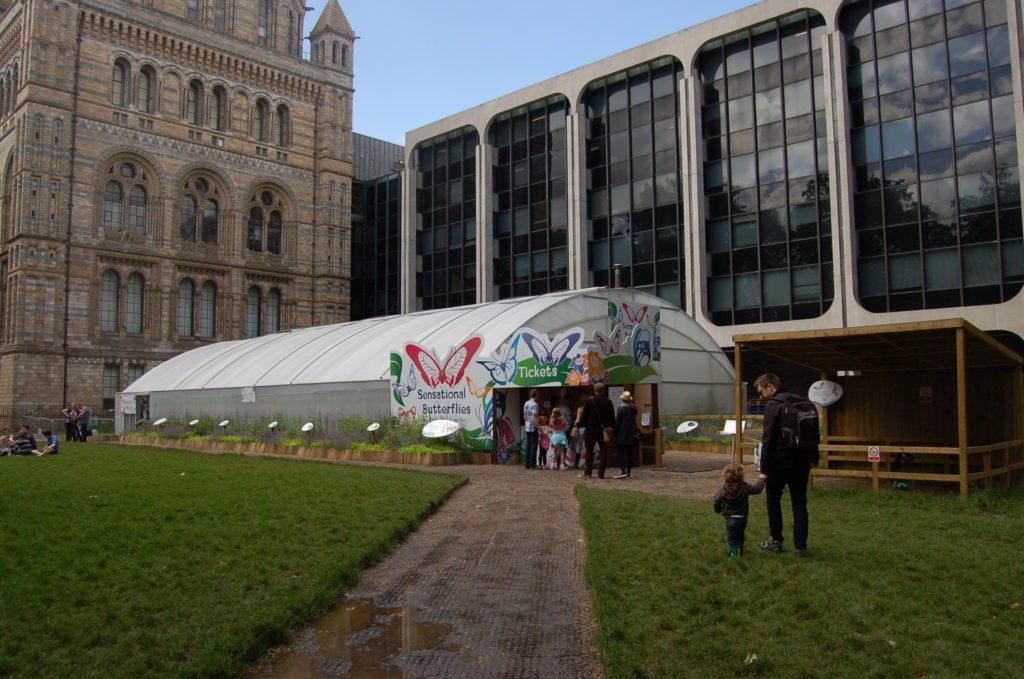 natural-history-museum